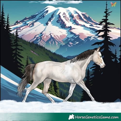 Horse Color:Amber Champagne Roan Dun Splash Tobiano Rabicano 