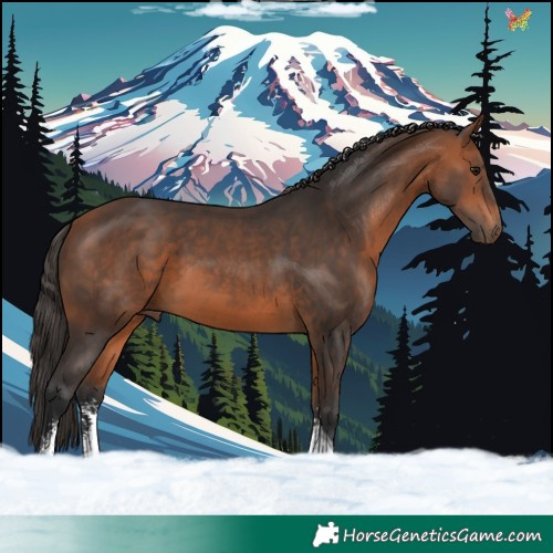 Horse Color:Bay Sabino Tobiano 