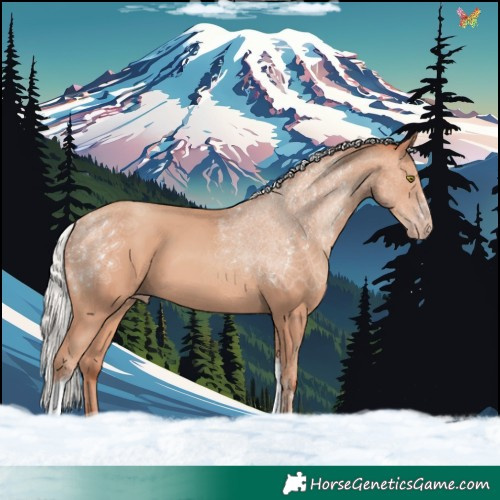 Horse Color:Silver Amber Champagne Tobiano 
