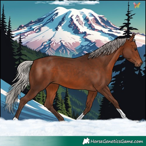 Horse Color:Silver Brown Tobiano 