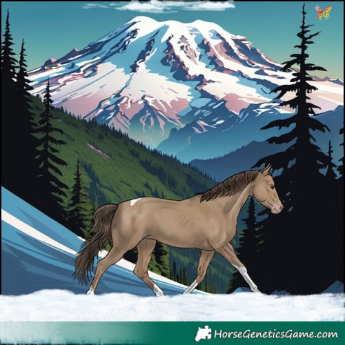 Horse Color:Classic Champagne Tobiano 
