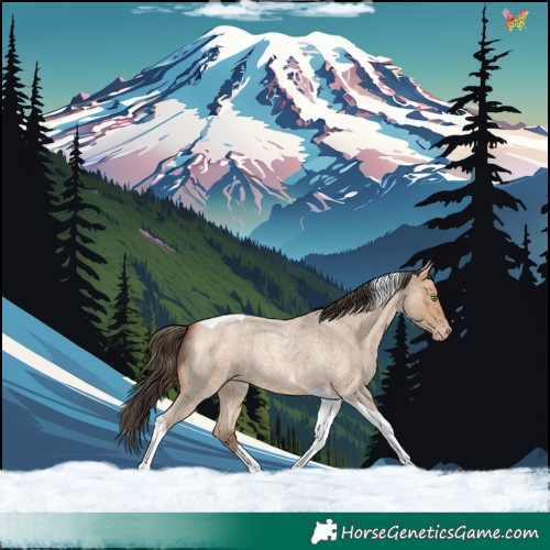 Horse Color:Amber Champagne Roan Tobiano 