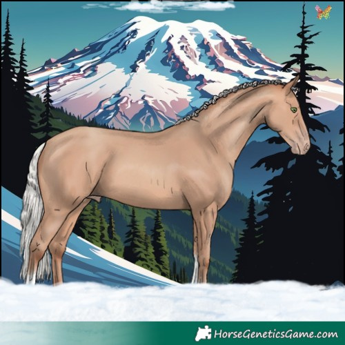 Horse Color:Silver Amber Champagne Tobiano 