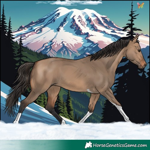 Horse Color:Bay Dun Tobiano 