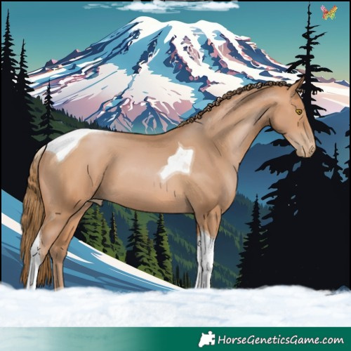 Horse Color:Brown Pearl Tobiano 
