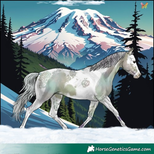 Horse Color:Watercolor Silver Brown Dun Splash Tobiano 