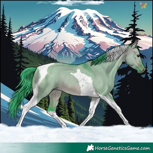 Horse Color:Watercolor Brown Dun Tobiano Rabicano 