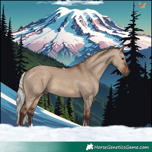 Horse Color:Silver Bay Dun Tobiano Rabicano 