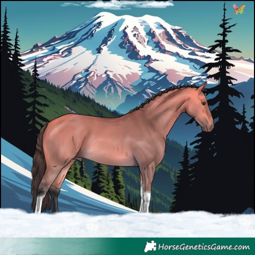 Horse Color:Buckskin Dun Tobiano Rabicano 