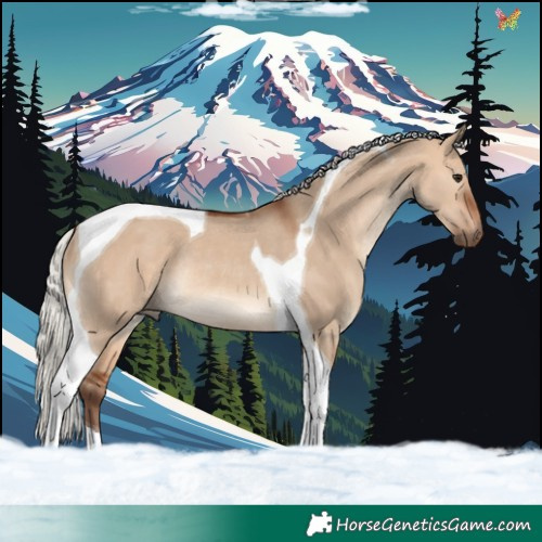 Horse Color:Silver Bay Dun Tobiano Rabicano