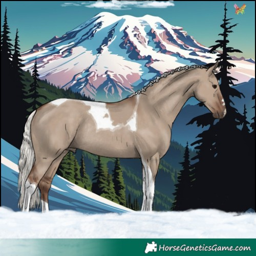 Horse Color:Silver Grullo Tobiano Rabicano 