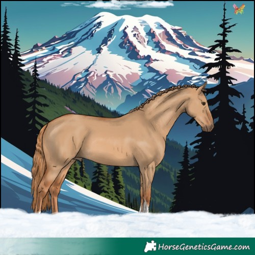 Horse Color:Red Dun Tobiano 