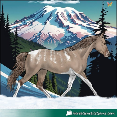 Horse Color:Powder White Liver Red Dun Tobiano Rabicano