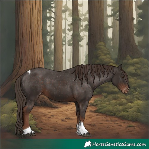 Horse Color:Liver Chestnut Tobiano Appaloosa Rabicano 