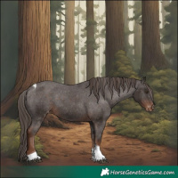 Horse Color:Liver Chestnut Tobiano Appaloosa Rabicano 