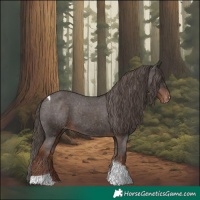 Horse Color:Liver Chestnut Tobiano Varnish Rabicano