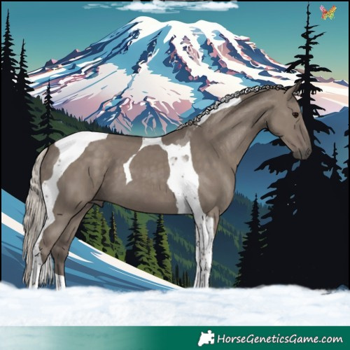 Horse Color:Silver Grullo Tobiano 