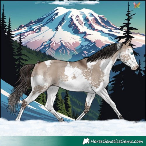 Horse Color:Brown Dun Splash Tobiano Rabicano 