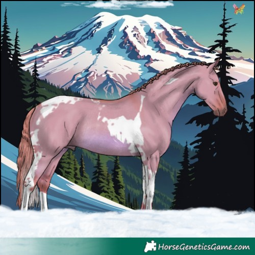 Horse Color:Watercolor Red Dun Tobiano Rabicano 