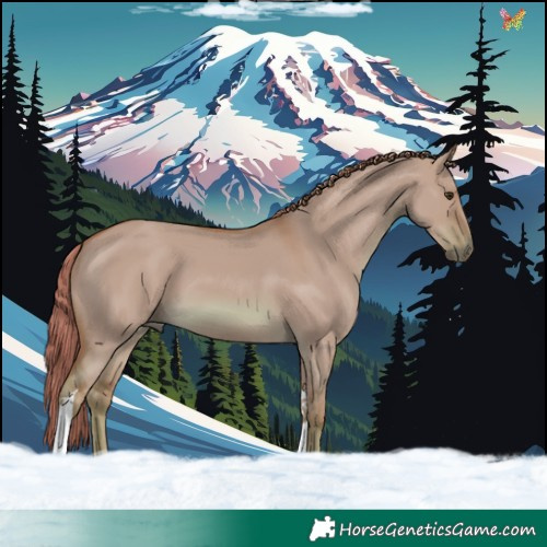 Horse Color:Watercolor Red Dun Tobiano 