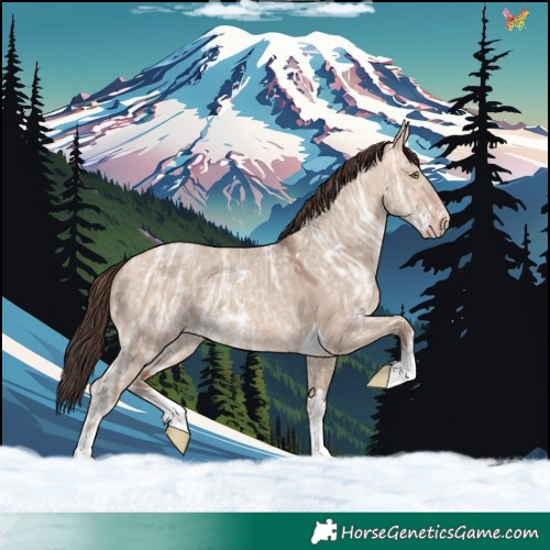 Horse Color:Amber Champagne Ice Dun Sabino Tobiano 
