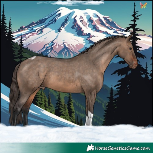 Horse Color:Brown Dun Tobiano Varnish 
