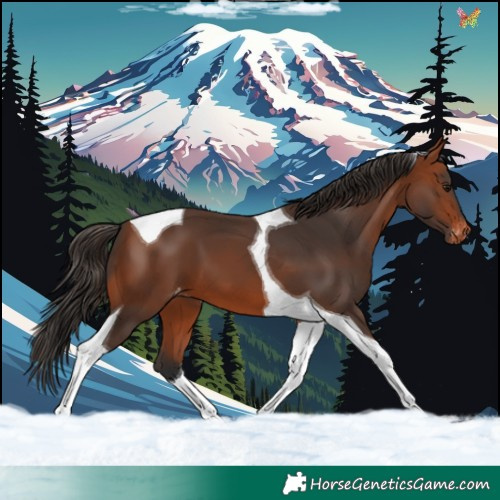 Horse Color:Bay Tobiano Varnish 