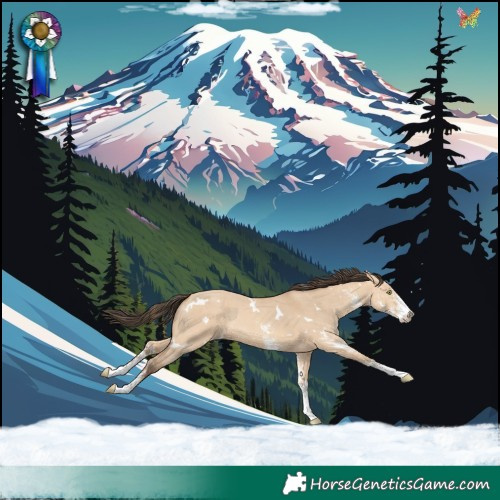 Horse Color:White Spotted Amber Champagne Dun