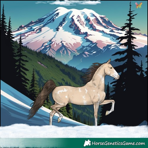 Horse Color:White Spotted Amber Champagne Dun