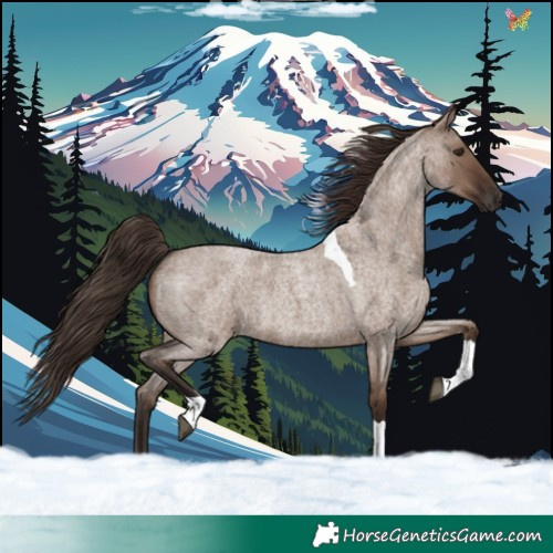 Horse Color:Liver Red Dun Roan Tobiano 