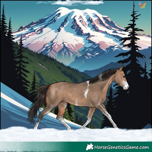 Horse Color:White Spotted Bay Dun Tobiano 