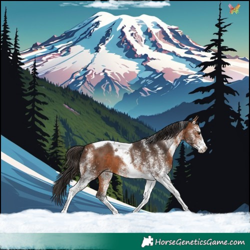 Horse Color:White Spotted Bay Tobiano 