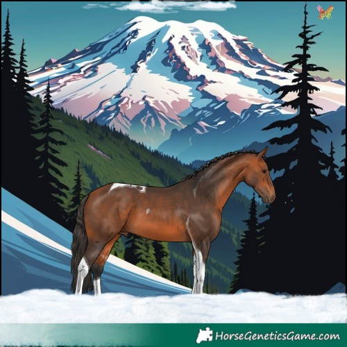 Horse Color:Bay Tobiano 
