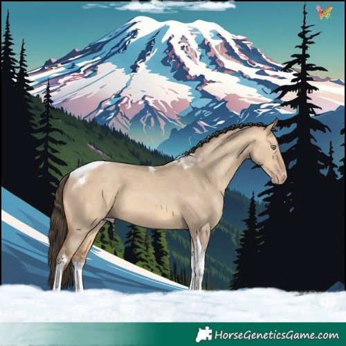 Horse Color:Amber Champagne Dun Tobiano 