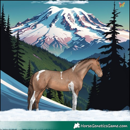 Horse Color:Sable Champagne Tobiano Varnish 