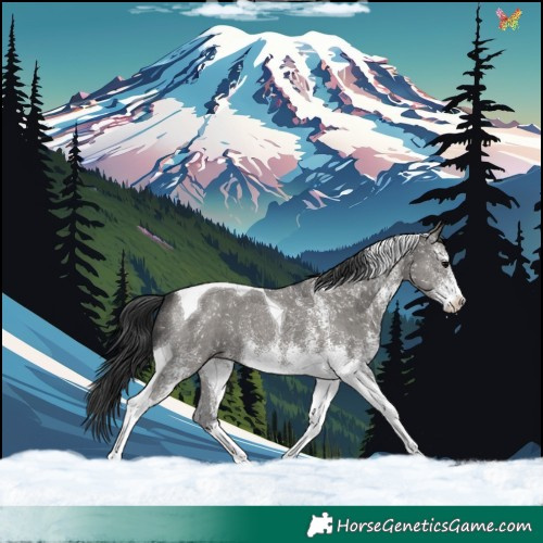 Horse Color:White Spotted Grullo Tobiano