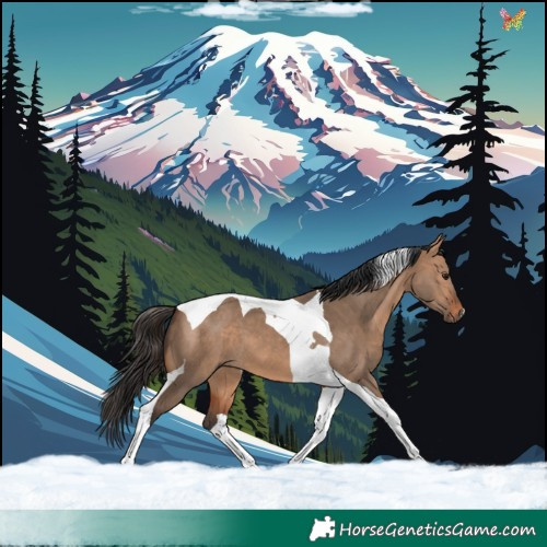 Horse Color:Bay Dun Tobiano 