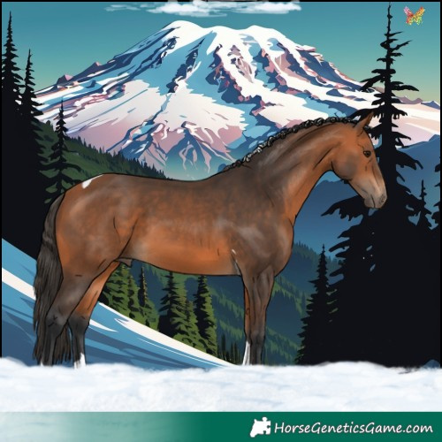 Horse Color:Bay Tobiano