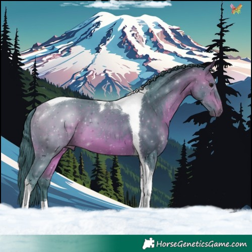 Horse Color:Watercolor Bay Tobiano 