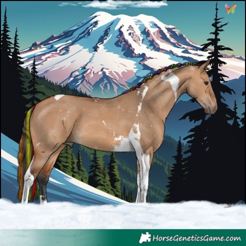 Horse Color:Painted Bay Dun Tobiano 