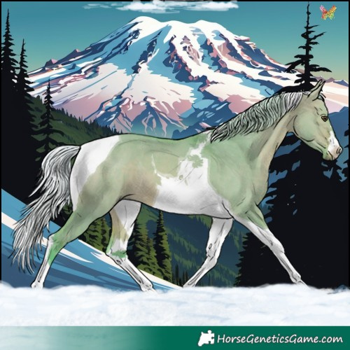 Horse Color:Watercolor Silver Bay Dun Tobiano 
