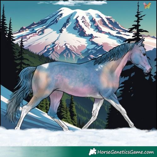 Horse Color:Watercolor Brown Tobiano 