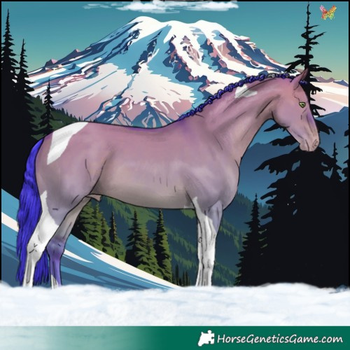 Horse Color:Watercolor Sable Champagne Dun Tobiano 