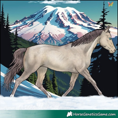 Horse Color:Watercolor Buckskin Pearl Dun 