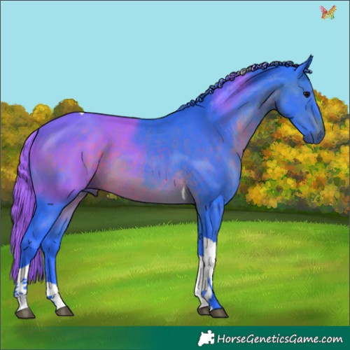 Horse Color:Watercolor Brown Tobiano 