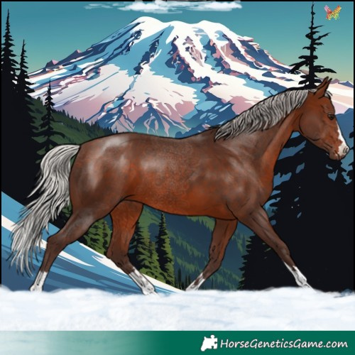 Horse Color:Silver Brown 