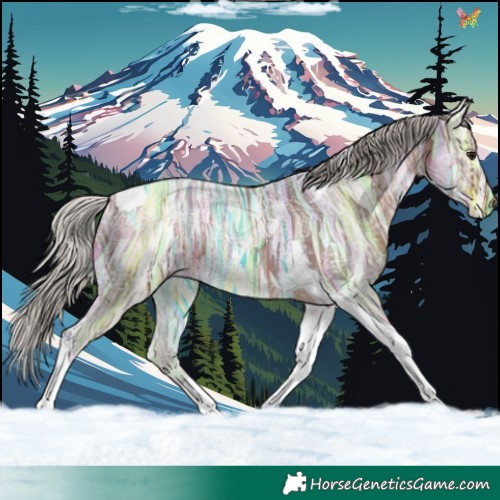 Horse Color:Silver Brown Ice Tobiano 