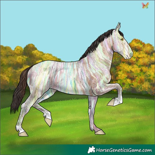 Horse Color:Sable Champagne Ice 