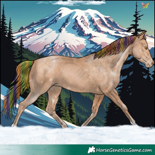 Horse Color:Painted Bay Pearl Tobiano 