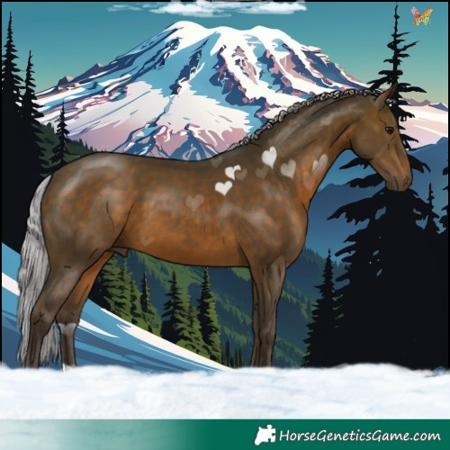 Horse Color:Silver Brown 